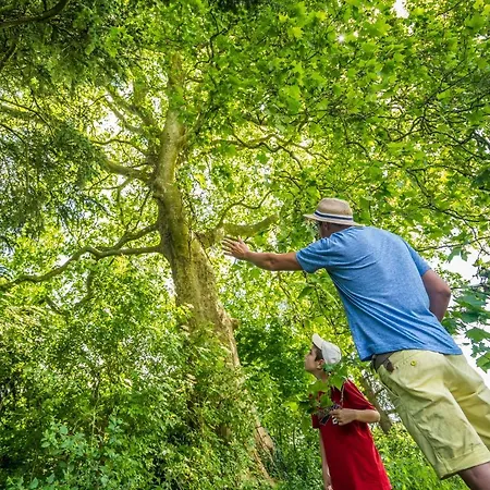 Chateau De La Tourlandry Pensjonat 4*