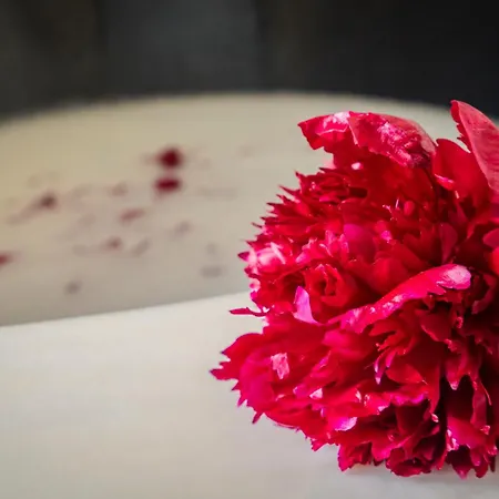 Pensjonat Chateau De La Tourlandry