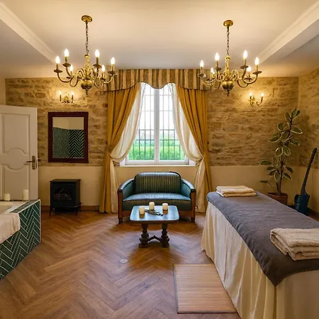 Chateau De La Tourlandry 4* Chemille-en-Anjou