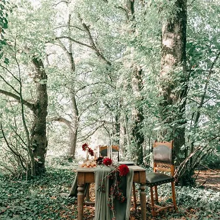 Chateau De La Tourlandry 4* Chemille-en-Anjou