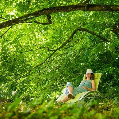 Chateau De La Tourlandry 4*