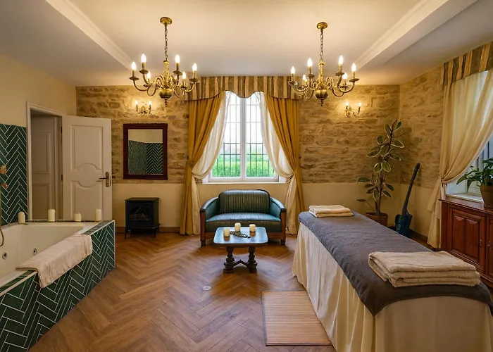 Chateau De La Tourlandry 4* Chemille-en-Anjou