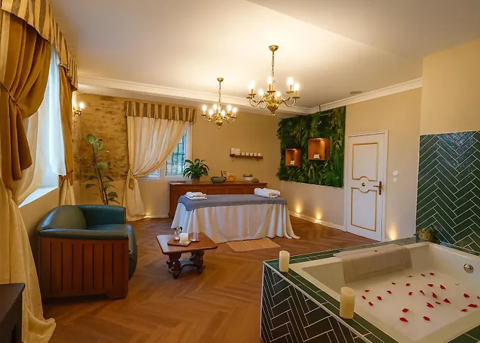 Chateau De La Tourlandry Pensión Chemille-en-Anjou