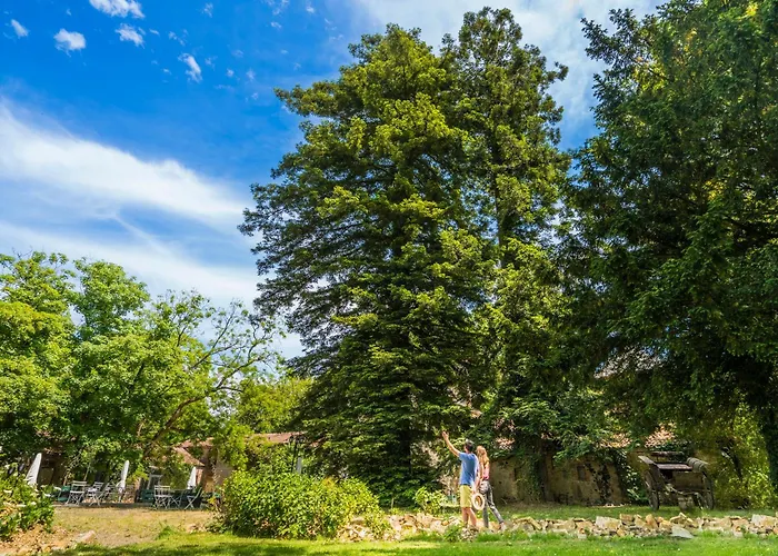 Chateau De La Tourlandry Pensión 4*